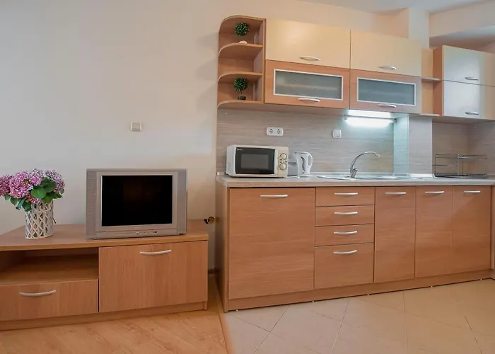 Chateau Del Mar Apartment